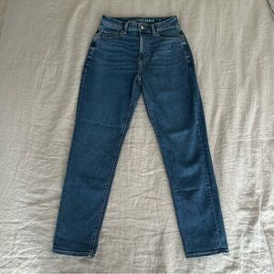 American Eagle Outfitters High Rise Mom Jeans (4L)